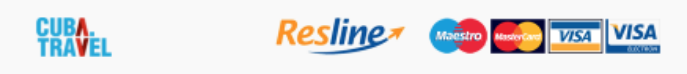 logo footer